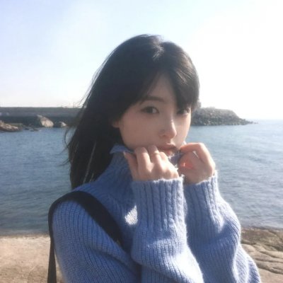女巡特警之蜂鸟突击队