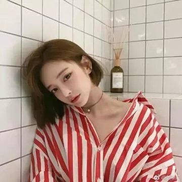 梦之森林